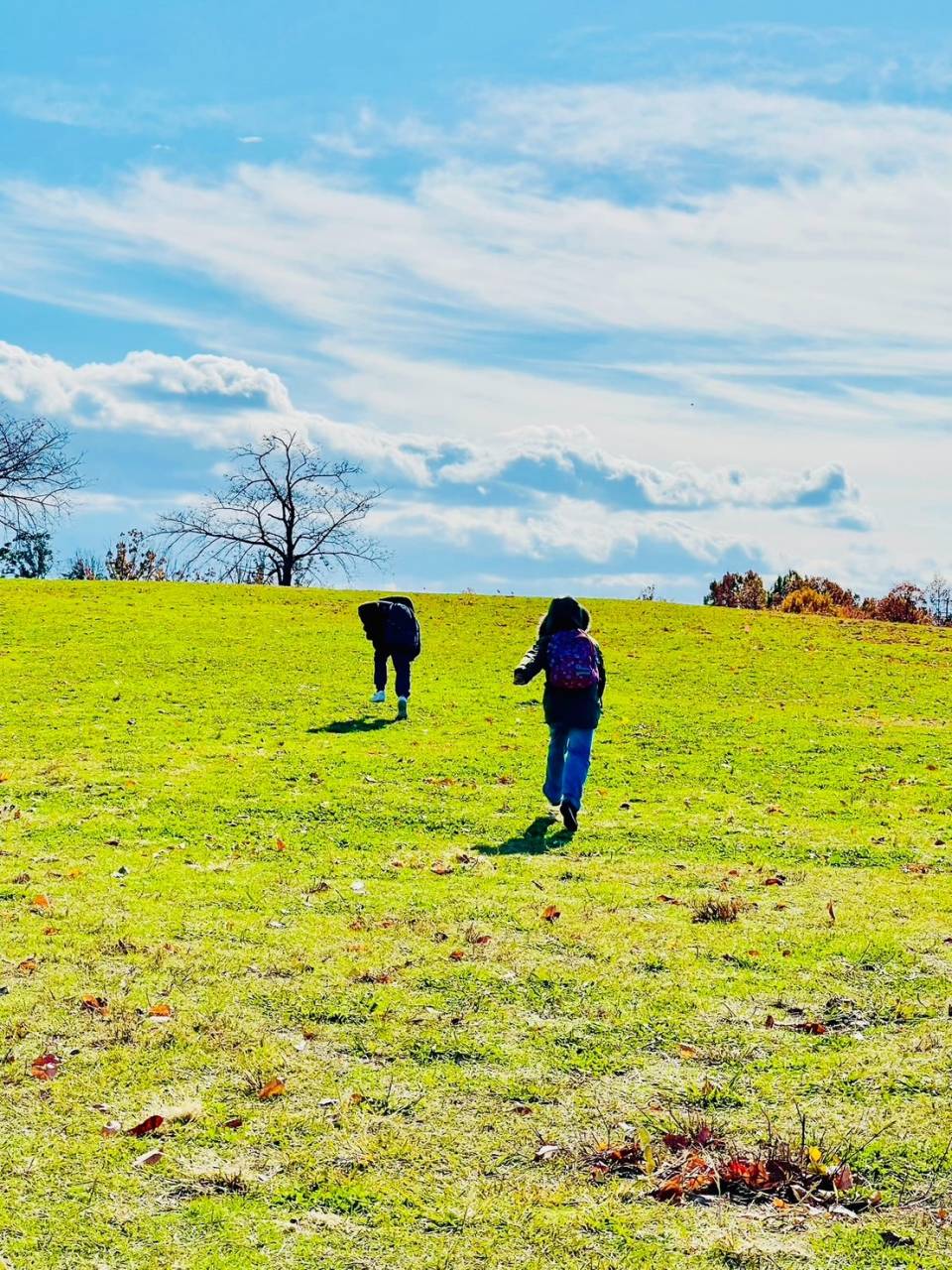 株式会社Next innovation