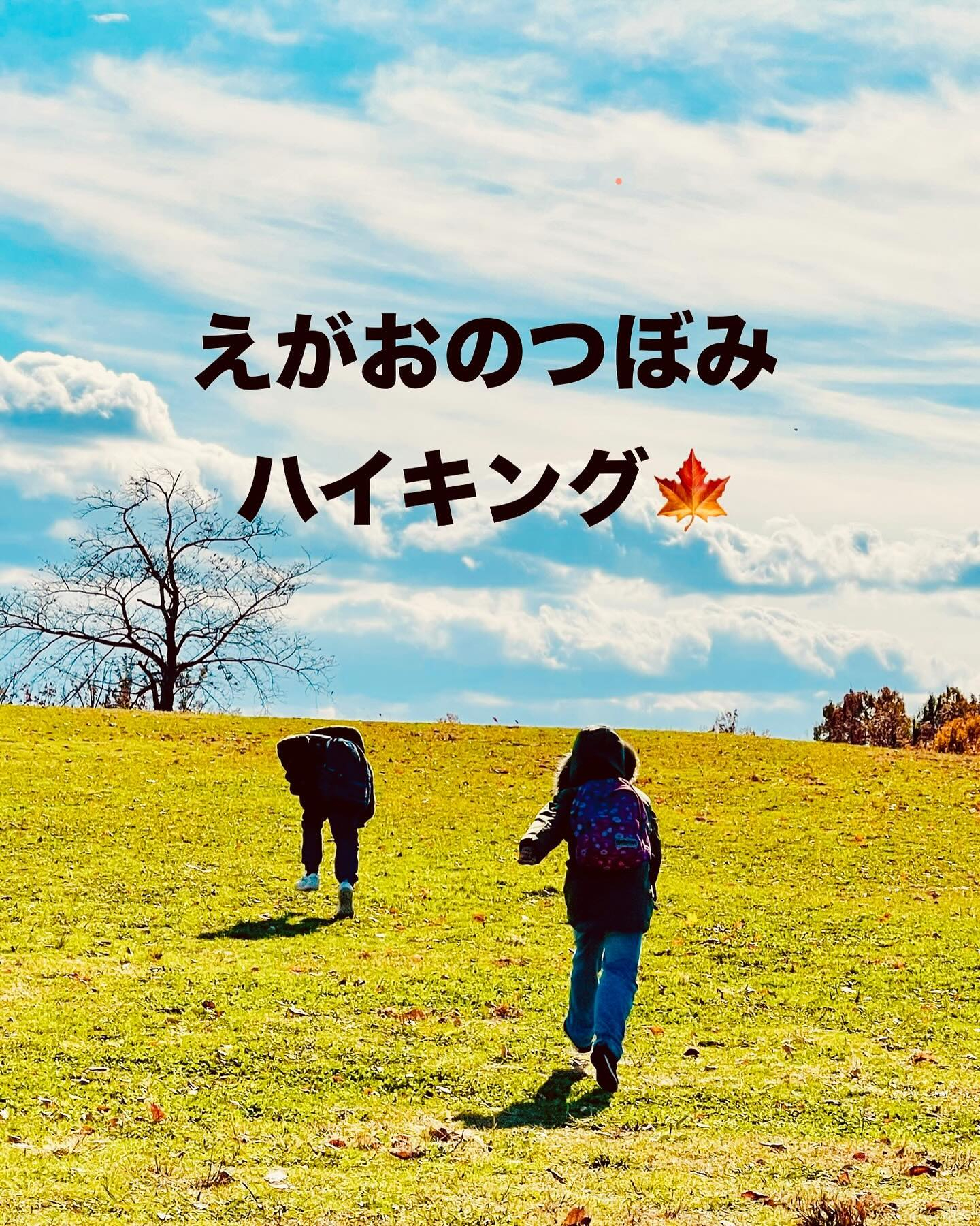 ハイキングに行きました。