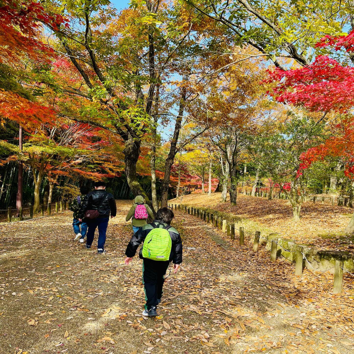 ハイキングに行きました。