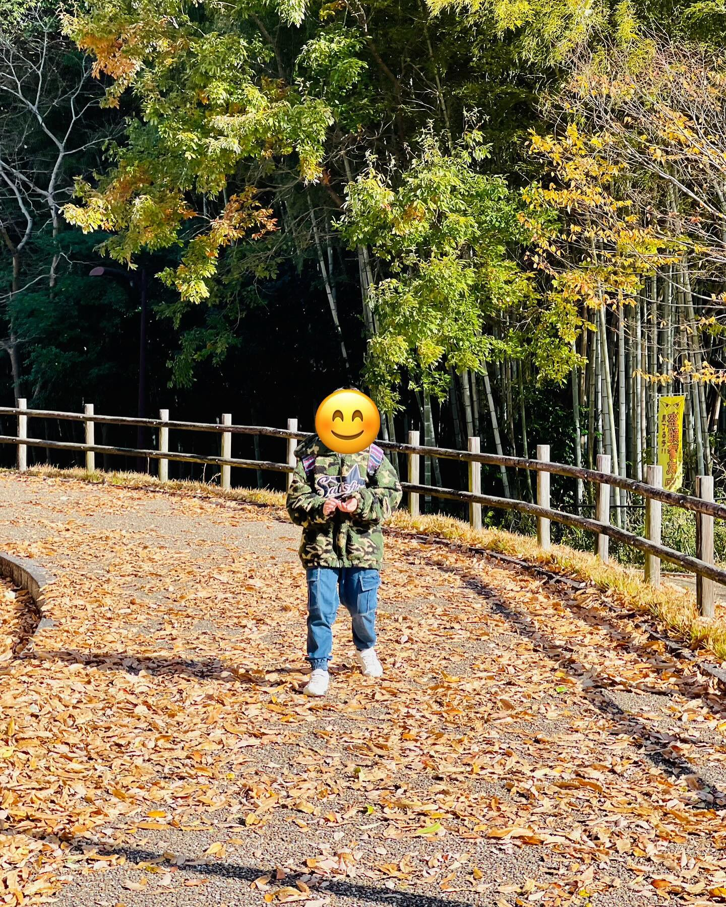 ハイキングに行きました。