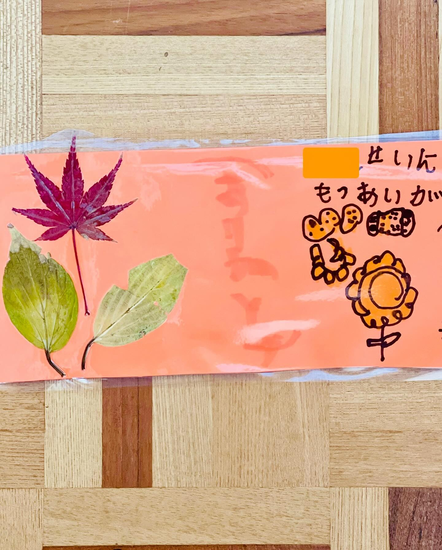 ハイキングに行きました。