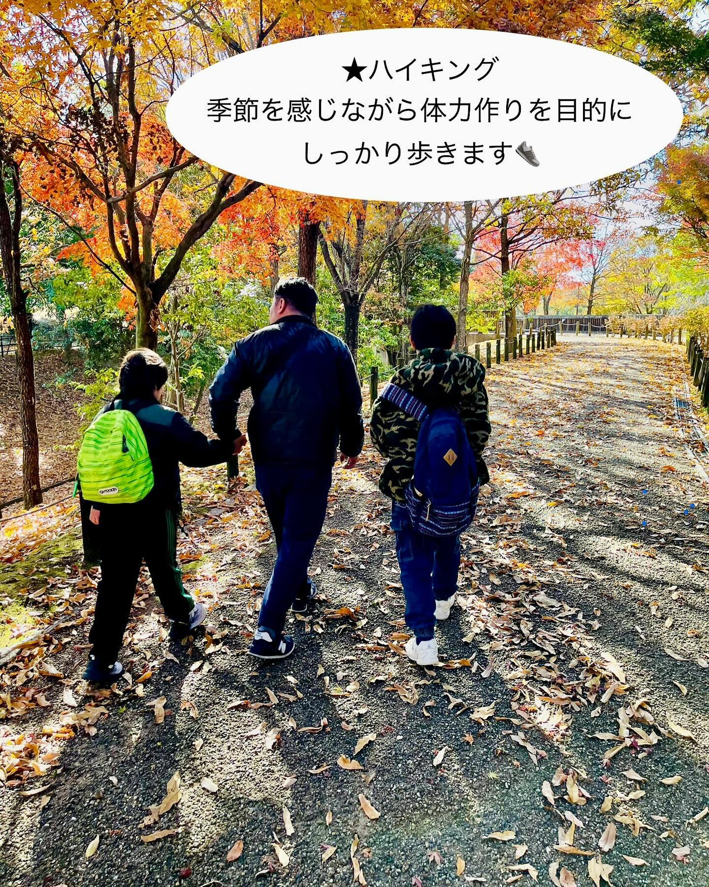 えがおのつぼみの活動