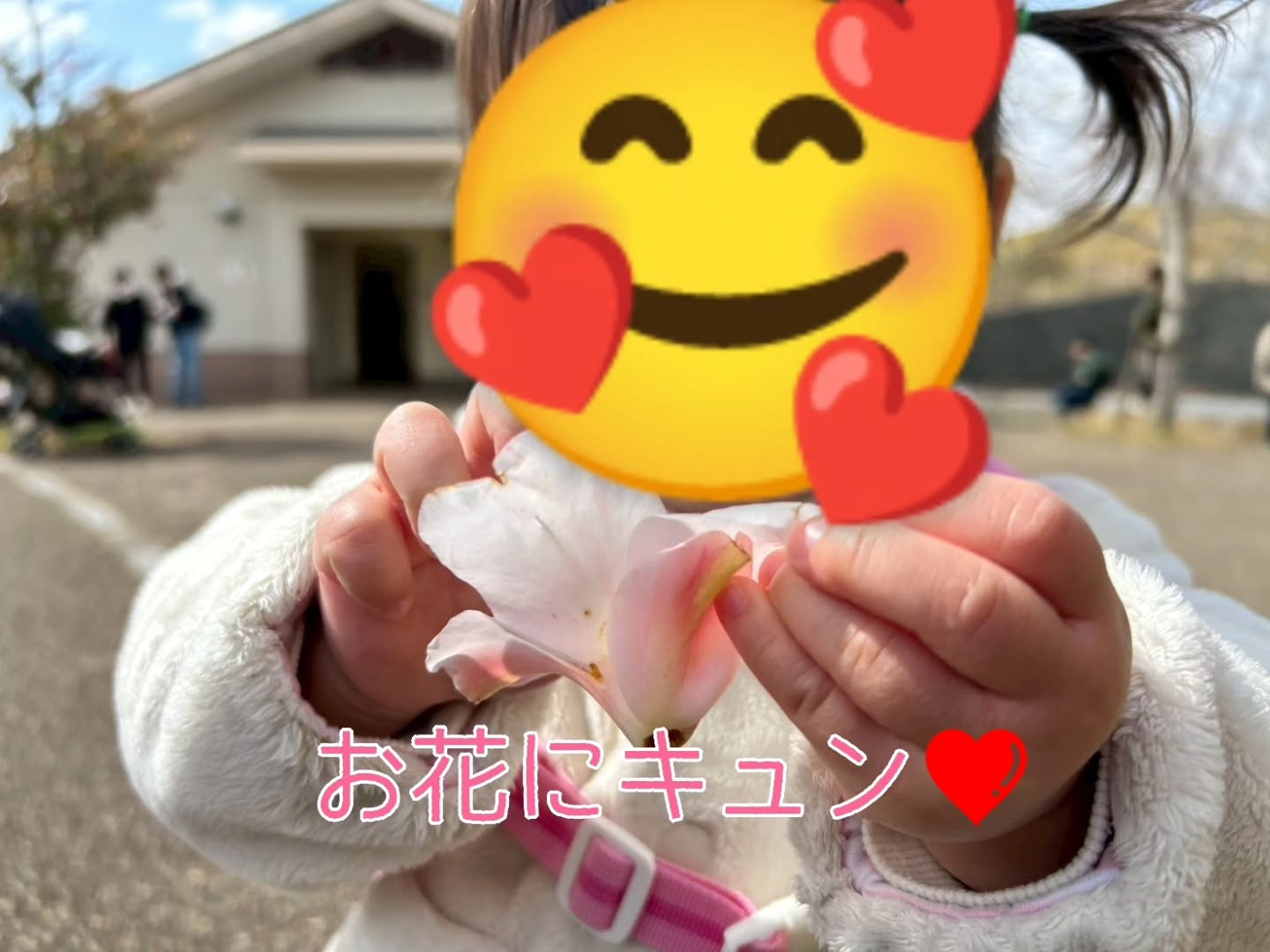 今日は前回行けなかった宇陀アニマルパークに再挑戦してきました...