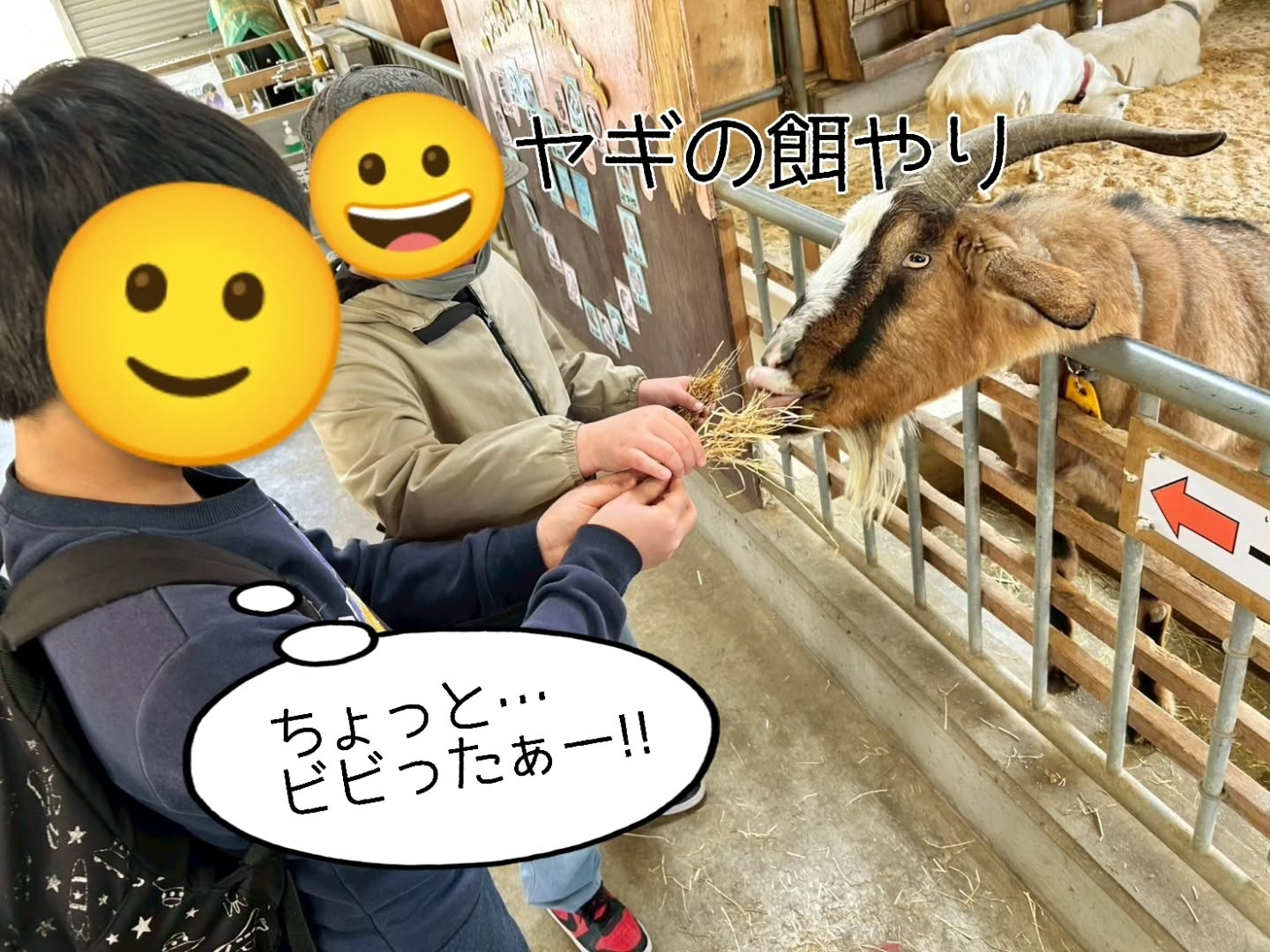 今日は前回行けなかった宇陀アニマルパークに再挑戦してきました...