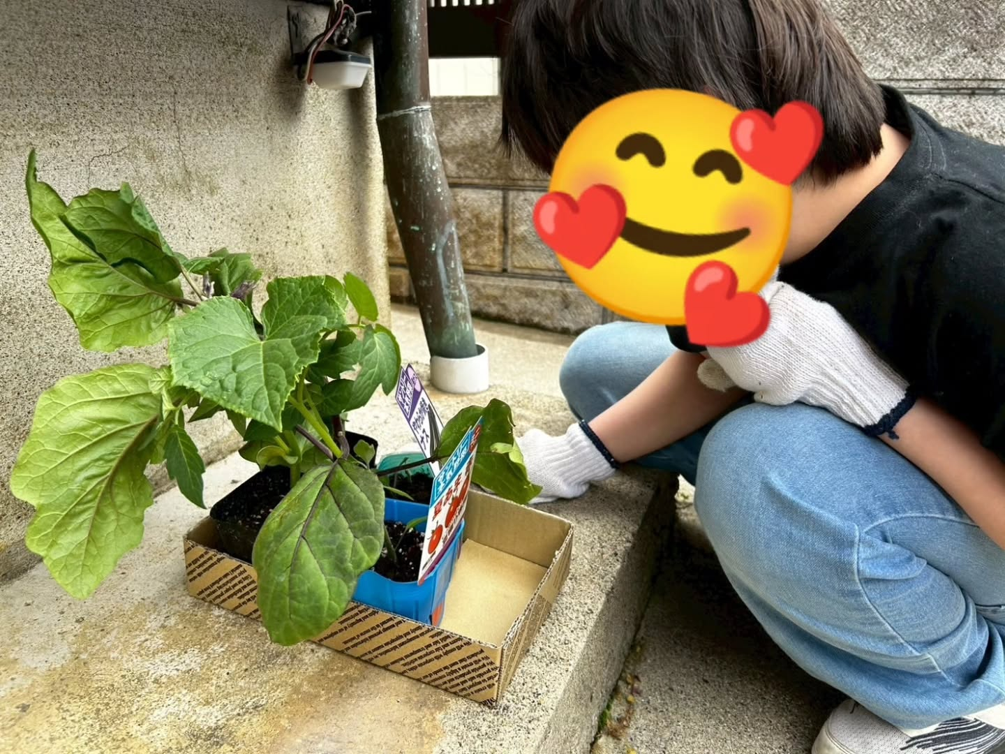 今日の調理実習は前からずーっとリクエストがあった餃子を作りま...