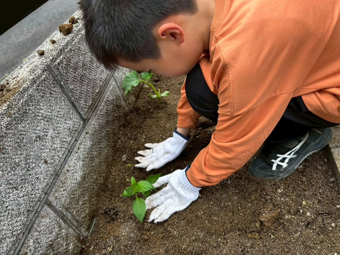 今日の調理実習は前からずーっとリクエストがあった餃子を作りま...