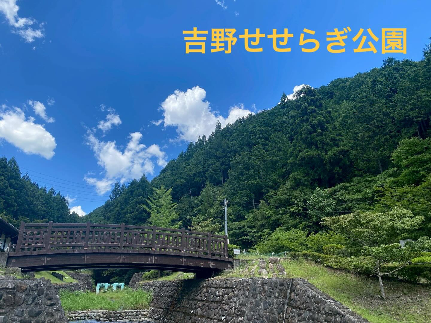 今日は待ちに待った初めての川遊び🌊👟✨