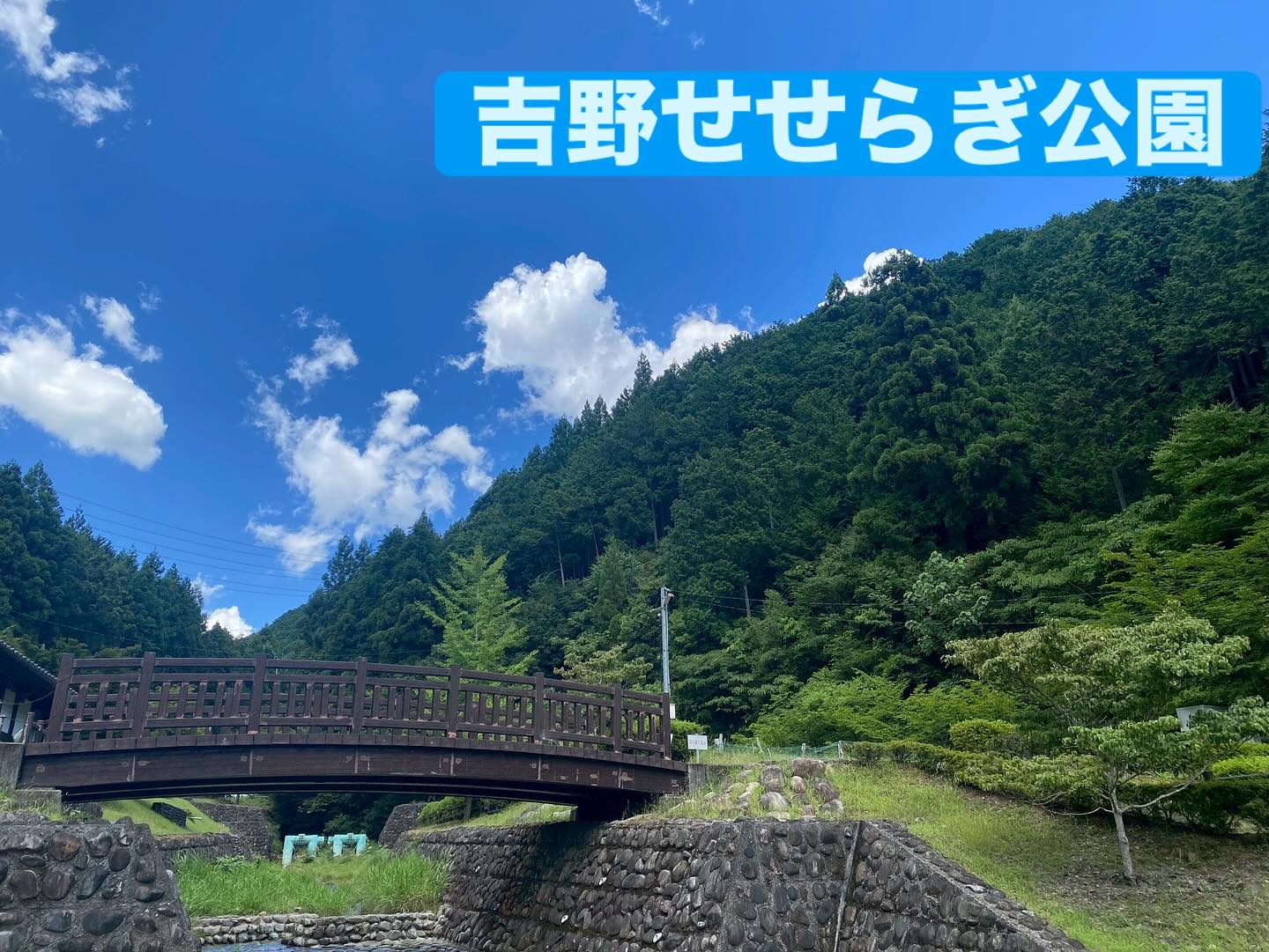 今回のお出かけは、子どもたちにとって初めての川遊び！