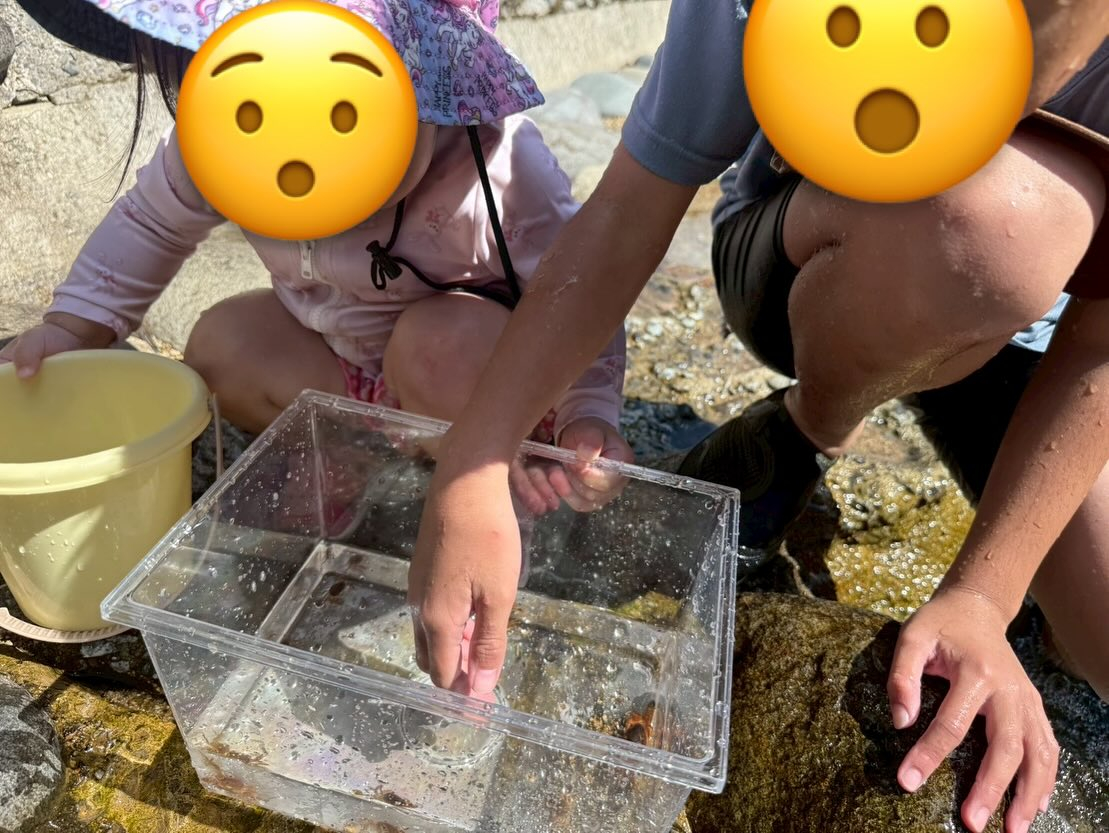 今回のお出かけは、子どもたちにとって初めての川遊び!