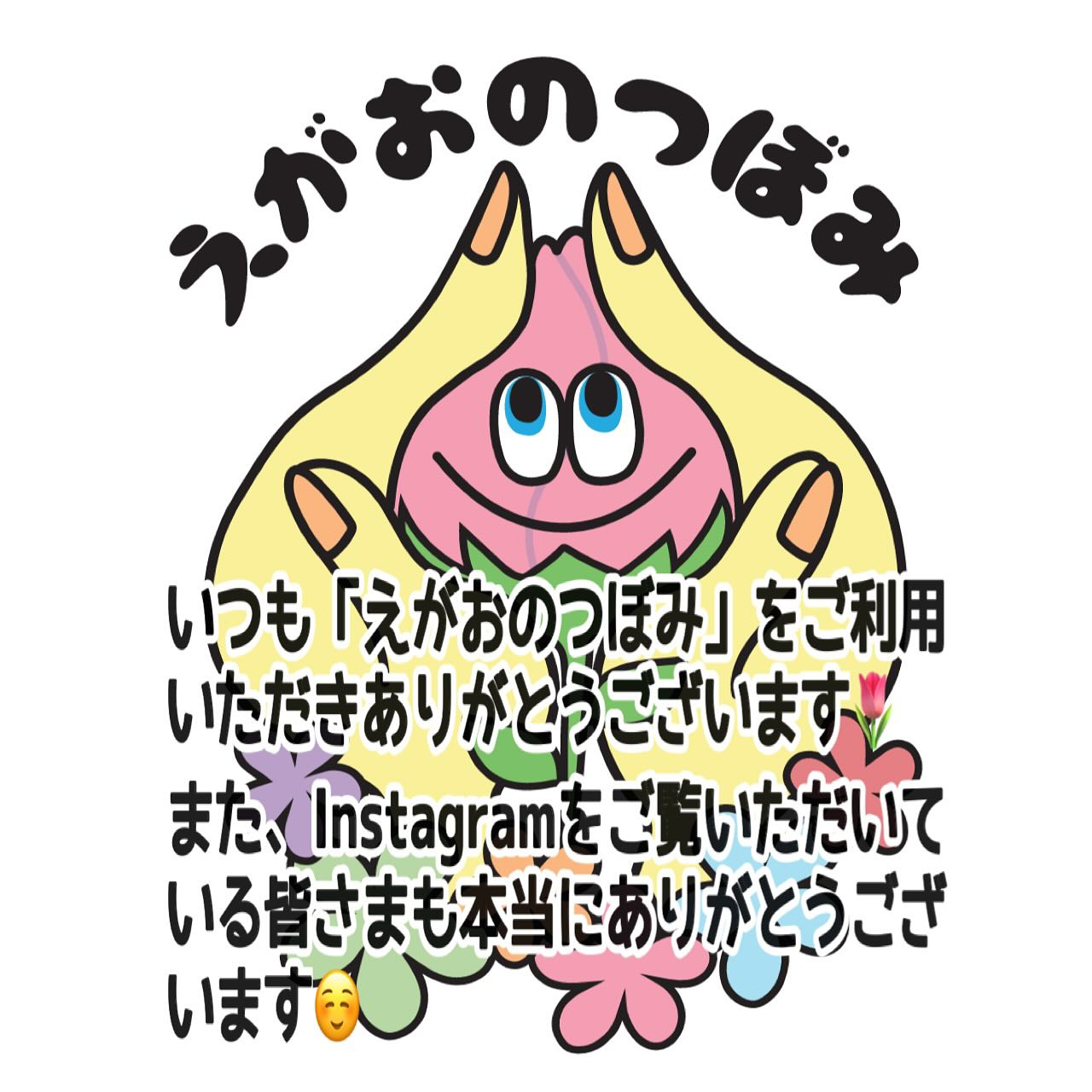えがおのつぼみ ご利用料金のご案内 🌱