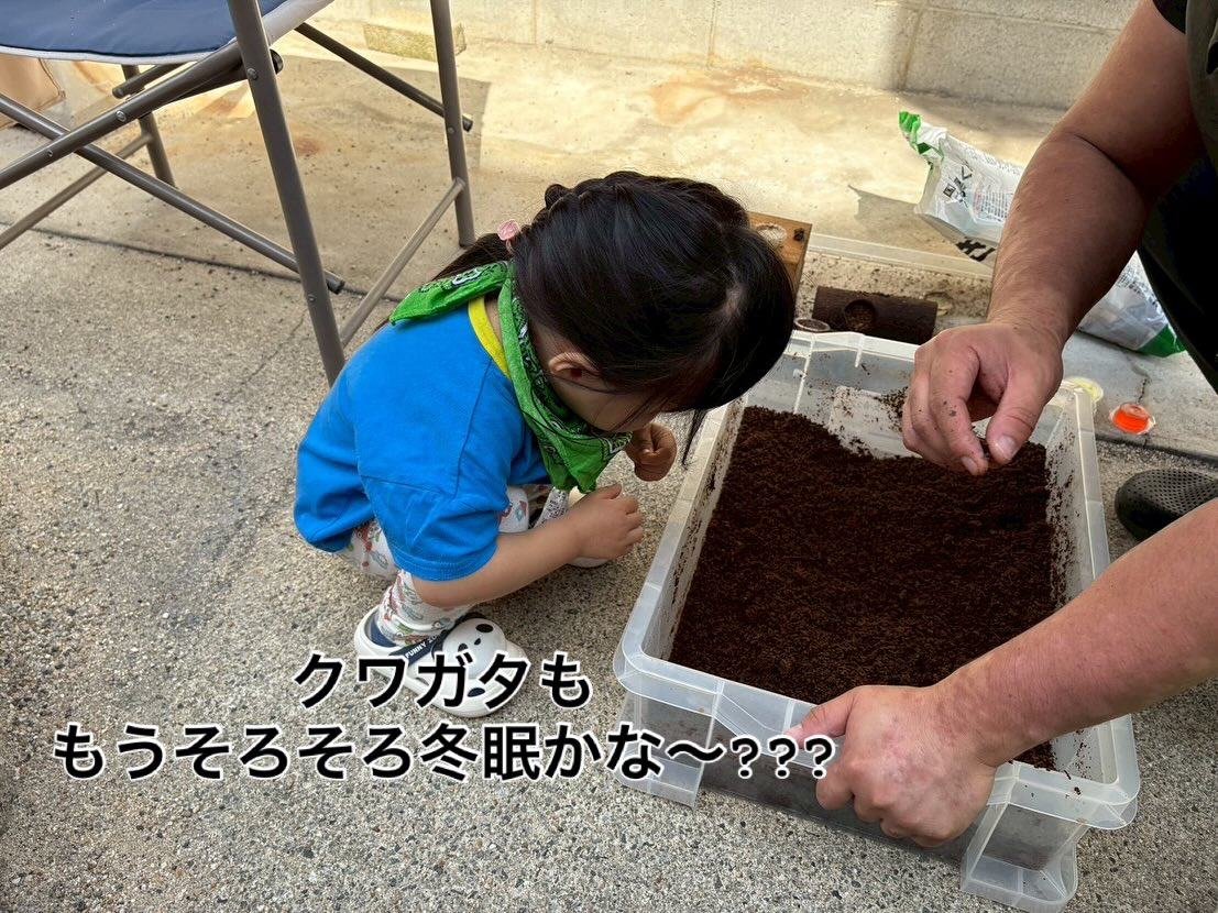 🌸✨えがおのつぼみ1周年✨🌸