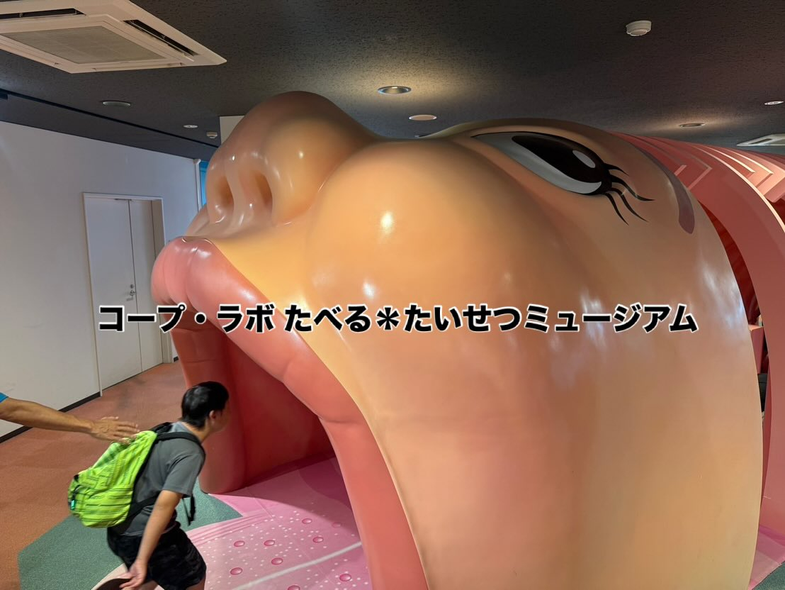 🌸✨えがおのつぼみ1周年✨🌸