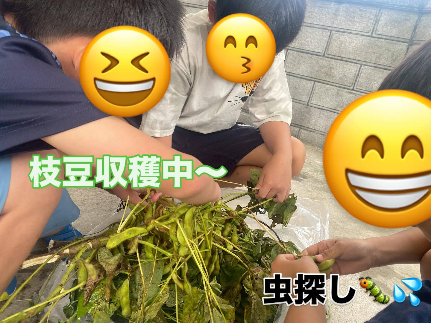 🌤️ 今日は涼しくなってきたこともあり、調理実習ではお外で“...