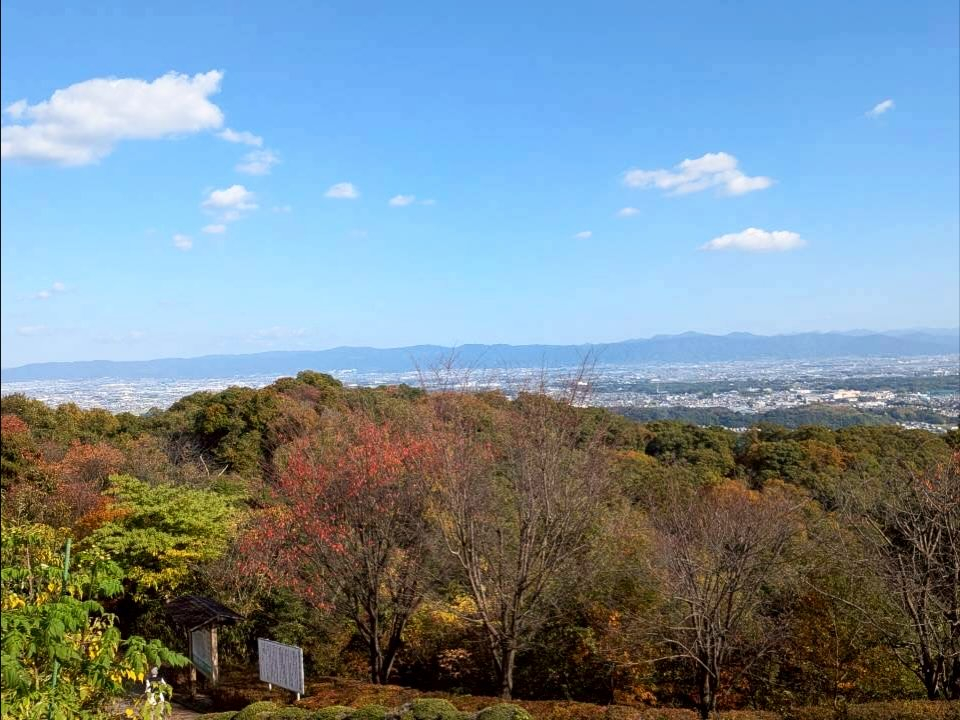 🍁 秋ハイキング in 明神山 🚶♀️⛰️