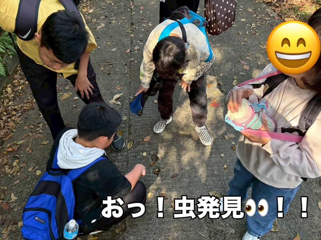🍁 秋ハイキング in 明神山 🚶♀️⛰️