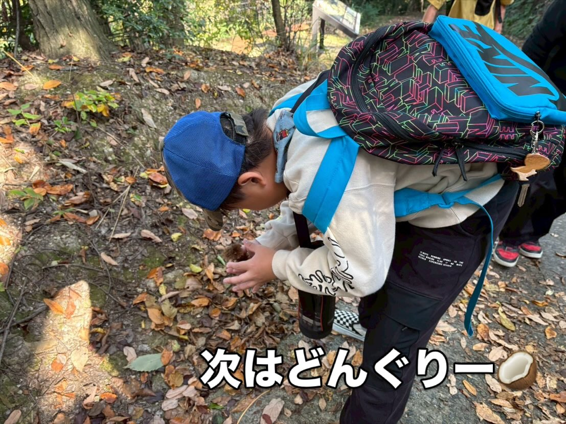 🍁 秋ハイキング in 明神山 🚶♀️⛰️
